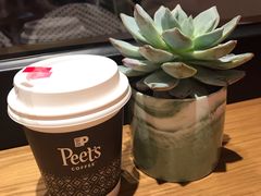 -Peet's Coffee皮爷咖啡(大学路店)