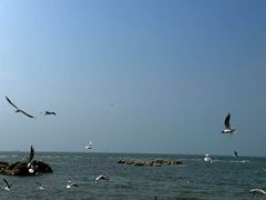 -老虎石海上公园