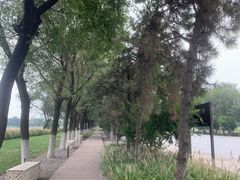 -汉长安城未央宫国家考古遗址公园