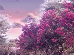 -武汉紫薇都市田园