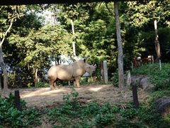 景点-清迈夜间动物园