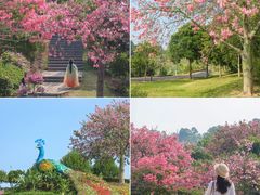 -东莞植物园