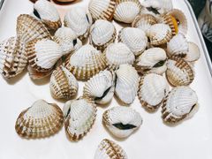 血蚶-潮三爷砂锅焗海鲜·生腌·海鲜粥(朝晖店)