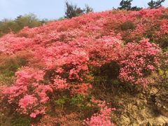 -木兰云雾山