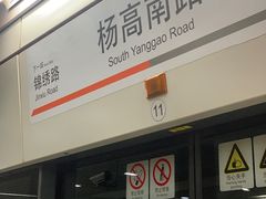 -杨高南路(地铁站)