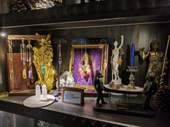 -雪灵魔法世界SHELLY’S TAROT(大良桂畔里店)