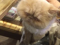 -小时光咖啡馆(开森度假森林店)