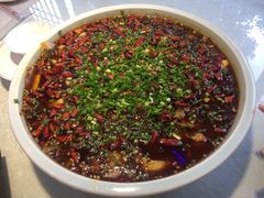 -新概念来凤鱼(璧山店)