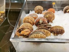 扇贝-五洲咖啡厅(五洲大酒店)