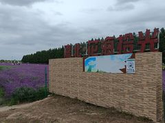 -嘉北郊野公园