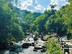 -广州白江湖森林公园