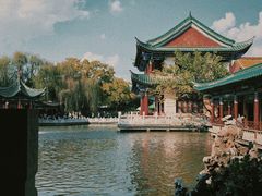-MAP CHA普洱茶馆(翠湖店)