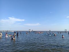 -碧海金沙