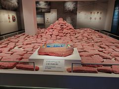 -青海藏文化博物院