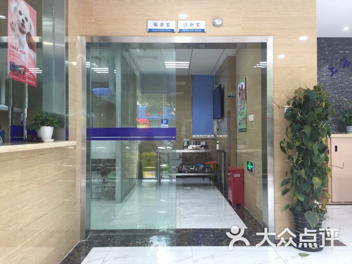 上海宠物医院的最新动态揭秘