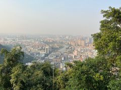 -顺峰山公园