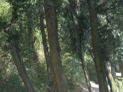 android_upload_pic-金堂县云顶石城风景区