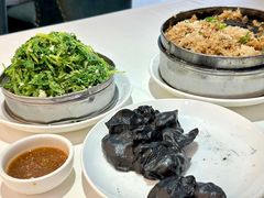 -金春禧(世茂国际广场店)