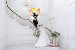 -金夫人婚纱摄影(华南店)