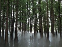 -东湖落雁景区