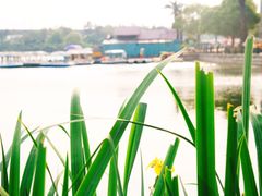 -美兰湖景区