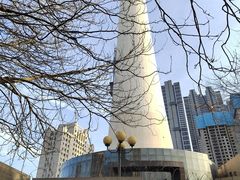 -辽宁电视塔