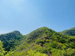 -大岭沟猕猴桃谷风景区
