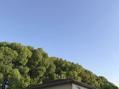 -上海虹桥迎宾馆