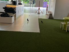 -Co+Nut+Ink(圣淘沙店)