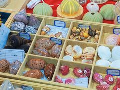 -摩登百货(岗顶店)