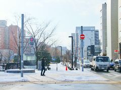 -大通公园
