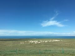 -青海湖国家重点风景名胜区