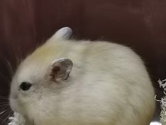 -龙猫仔乐园(惠福东路店)