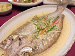 清蒸白鱼-老东吴食府(雅都店)