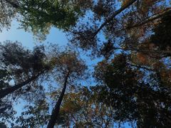 -三门江国家森林公园