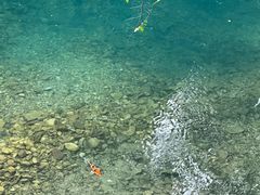 -雁荡山灵峰景区