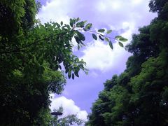-回坊马二饺子馆