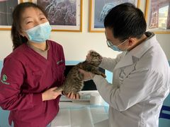 -瑞派福兴宠物医院犬猫全科·骨科·中西医结合(河东店)