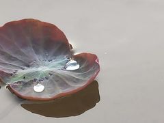 -东山湖公园