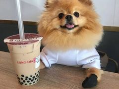 -PETIT PARIS 小巴黎(凯德1818店)