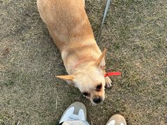 -仙海旅游度假区