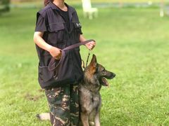 -北京京卫宠物寄养训练中心