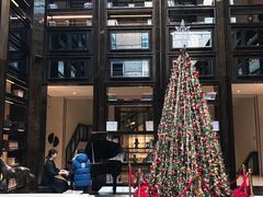 -行者书屋大堂吧 ·下午茶(南京圣和府邸酒店)