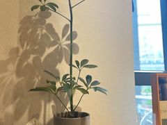 -十二舍·湯物素煮(江泰潤政店)