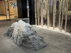 -ARC'TERYX始祖鸟(北京王府中环店)