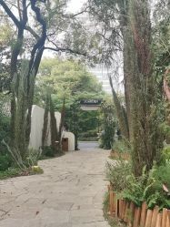 -上海瑞金洲际酒店·宴会厅