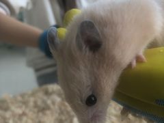 -怪兽屋·羊驼·猫咖·狗咖(俊华广场店)