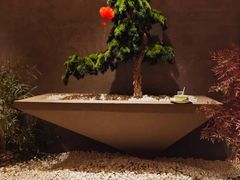 -阿露佳·舌尖上的安吉菜