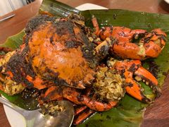 -Cabe Ijo
