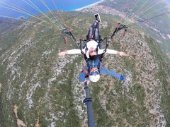 -费特希耶滑翔伞